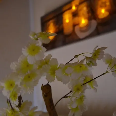 Bed & Breakfast Relais Mont Jura Adults Only Lélex